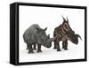 An Adult Einiosaurus Compared to a Modern Adult White Rhinoceros-Stocktrek Images-Framed Stretched Canvas