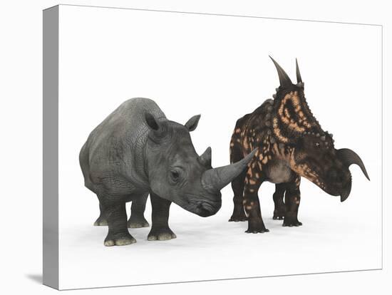 An Adult Einiosaurus Compared to a Modern Adult White Rhinoceros-Stocktrek Images-Stretched Canvas