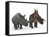 An Adult Einiosaurus Compared to a Modern Adult White Rhinoceros-Stocktrek Images-Framed Stretched Canvas