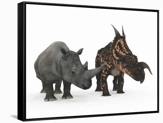 An Adult Einiosaurus Compared to a Modern Adult White Rhinoceros-Stocktrek Images-Framed Stretched Canvas