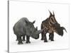 An Adult Einiosaurus Compared to a Modern Adult White Rhinoceros-Stocktrek Images-Stretched Canvas