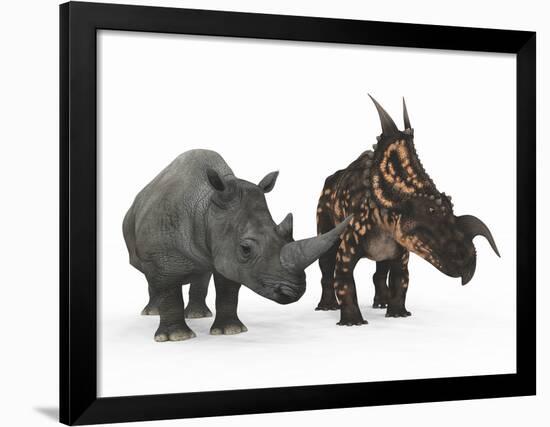 An Adult Einiosaurus Compared to a Modern Adult White Rhinoceros-Stocktrek Images-Framed Premium Photographic Print