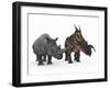 An Adult Einiosaurus Compared to a Modern Adult White Rhinoceros-Stocktrek Images-Framed Photographic Print