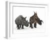 An Adult Einiosaurus Compared to a Modern Adult White Rhinoceros-Stocktrek Images-Framed Photographic Print