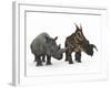 An Adult Einiosaurus Compared to a Modern Adult White Rhinoceros-Stocktrek Images-Framed Photographic Print