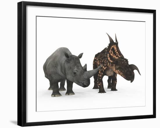 An Adult Einiosaurus Compared to a Modern Adult White Rhinoceros-Stocktrek Images-Framed Photographic Print