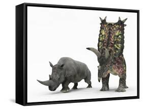 An Adult Pentaceratops Compared to a Modern Adult White Rhinoceros-Stocktrek Images-Framed Stretched Canvas