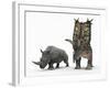 An Adult Pentaceratops Compared to a Modern Adult White Rhinoceros-Stocktrek Images-Framed Photographic Print