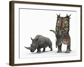 An Adult Pentaceratops Compared to a Modern Adult White Rhinoceros-Stocktrek Images-Framed Photographic Print