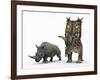 An Adult Pentaceratops Compared to a Modern Adult White Rhinoceros-Stocktrek Images-Framed Photographic Print