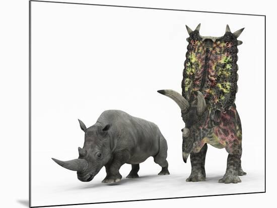 An Adult Pentaceratops Compared to a Modern Adult White Rhinoceros-Stocktrek Images-Mounted Photographic Print