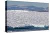 An Adult Polar Bear (Ursus Maritimus) on a Huge Iceberg in Arctic Harbour-Michael-Stretched Canvas