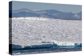 An Adult Polar Bear (Ursus Maritimus) on a Huge Iceberg in Arctic Harbour-Michael-Stretched Canvas