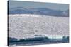 An Adult Polar Bear (Ursus Maritimus) on a Huge Iceberg in Arctic Harbour-Michael-Stretched Canvas