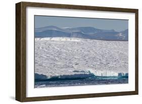 An Adult Polar Bear (Ursus Maritimus) on a Huge Iceberg in Arctic Harbour-Michael-Framed Photographic Print