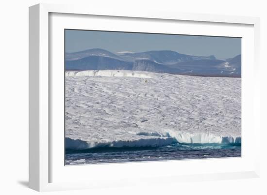 An Adult Polar Bear (Ursus Maritimus) on a Huge Iceberg in Arctic Harbour-Michael-Framed Photographic Print
