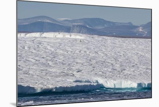 An Adult Polar Bear (Ursus Maritimus) on a Huge Iceberg in Arctic Harbour-Michael-Mounted Photographic Print