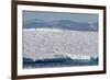 An Adult Polar Bear (Ursus Maritimus) on a Huge Iceberg in Arctic Harbour-Michael-Framed Photographic Print