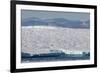 An Adult Polar Bear (Ursus Maritimus) on a Huge Iceberg in Arctic Harbour-Michael-Framed Photographic Print