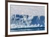 An Adult Polar Bear (Ursus Maritimus) on the Edge of a Huge Iceberg in Arctic Harbour-Michael-Framed Photographic Print