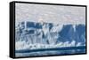 An Adult Polar Bear (Ursus Maritimus) on the Edge of a Huge Iceberg in Arctic Harbour-Michael-Framed Stretched Canvas