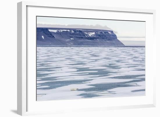 An Adult Polar Bear (Ursus Maritimus) Stalking Seals on Fast Ice in Icy Arm-Michael-Framed Photographic Print