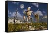 An Advanced Robot on an Exploration Mission on an Alien World-null-Framed Stretched Canvas