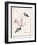 An Advertisement for Men's and Women's Shoes-null-Framed Art Print