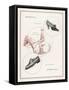 An Advertisement for Men's and Women's Shoes-null-Framed Stretched Canvas