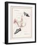 An Advertisement for Men's and Women's Shoes-null-Framed Art Print