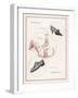 An Advertisement for Men's and Women's Shoes-null-Framed Art Print