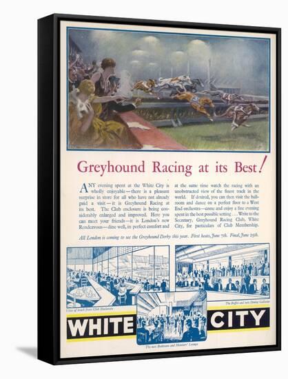 An Advertisement for White City Greyhound Racing Track-null-Framed Stretched Canvas