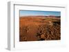 An aerial view of red sand dunes and vegetation in the Namib desert. Namibia.-Sergio Pitamitz-Framed Photographic Print