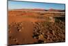 An aerial view of red sand dunes and vegetation in the Namib desert. Namibia.-Sergio Pitamitz-Mounted Photographic Print