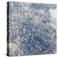 An Aerial View of Sao Paulo, Brazil-Alex Saberi-Stretched Canvas