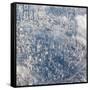 An Aerial View of Sao Paulo, Brazil-Alex Saberi-Framed Stretched Canvas