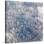 An Aerial View of Sao Paulo, Brazil-Alex Saberi-Stretched Canvas