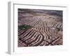 An Aerial View of the Residential Area of Las Vegas, October 2000-null-Framed Photographic Print