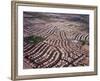 An Aerial View of the Residential Area of Las Vegas, October 2000-null-Framed Photographic Print