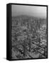An Aerial View of the Signal Hill Oil Field-Peter Stackpole-Framed Stretched Canvas