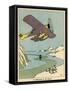 An Aeroplane in the Arctic-null-Framed Stretched Canvas