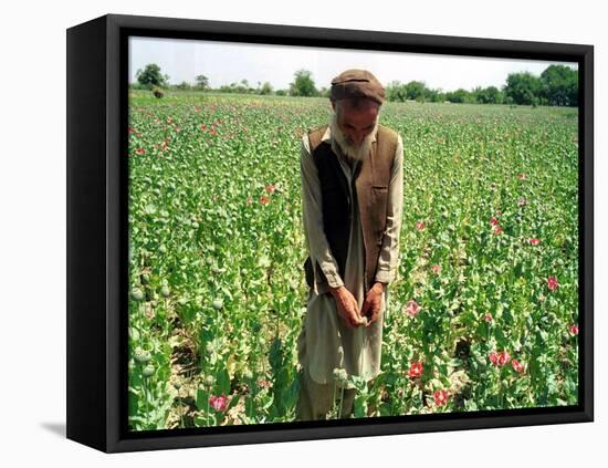An Afghan Farmer Working-null-Framed Stretched Canvas