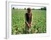 An Afghan Farmer Working-null-Framed Photographic Print