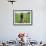 An Afghan Farmer Working-null-Framed Photographic Print displayed on a wall