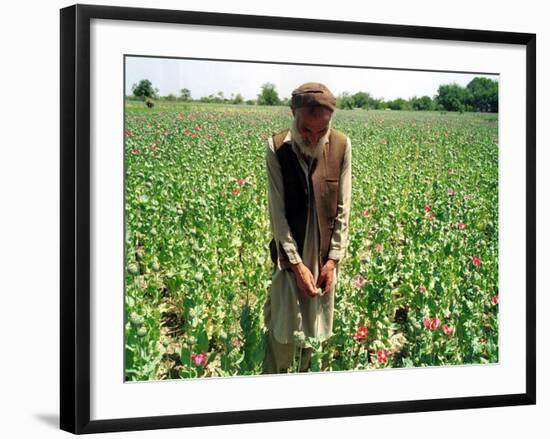 An Afghan Farmer Working-null-Framed Photographic Print