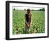 An Afghan Farmer Working-null-Framed Photographic Print