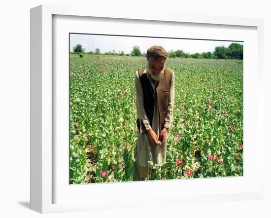 An Afghan Farmer Working-null-Framed Photographic Print