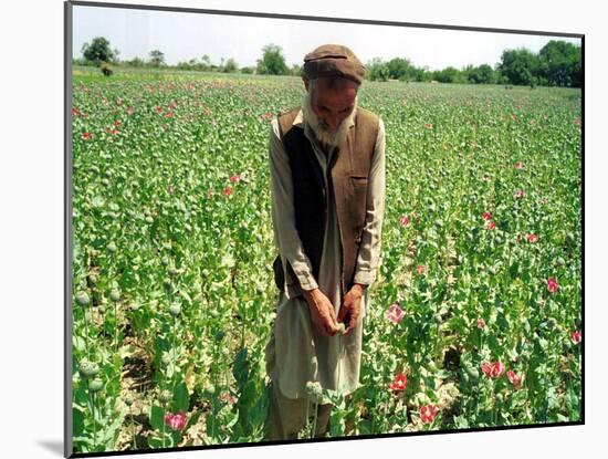 An Afghan Farmer Working-null-Mounted Photographic Print