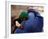 An Afghan Woman Holding Her Child Throws Back Her Burqa to See Her Way Along a Muddy Alley-null-Framed Photographic Print