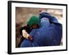 An Afghan Woman Holding Her Child Throws Back Her Burqa to See Her Way Along a Muddy Alley-null-Framed Photographic Print